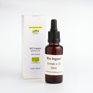 Bio Ingwer Extrakt Aroma natuerlich