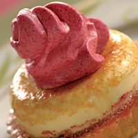 Johannisbeer Mousse